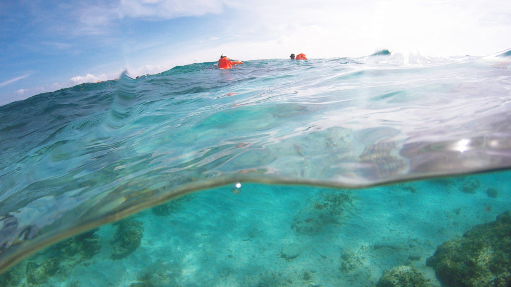 Balicasag Island Bohol
