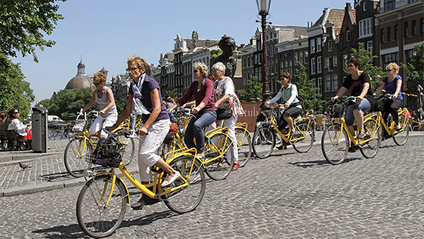 Top 5 Reasons to Visit Netherlands