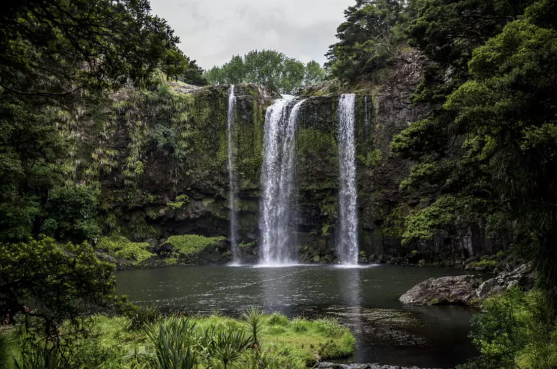 Top 5 Reasons to Visit New Zealand