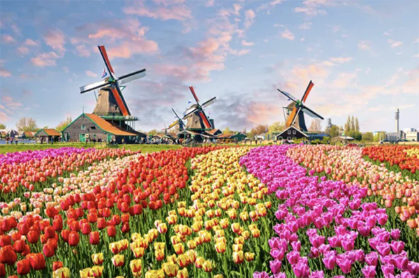 Top 5 Reasons to Visit Netherlands