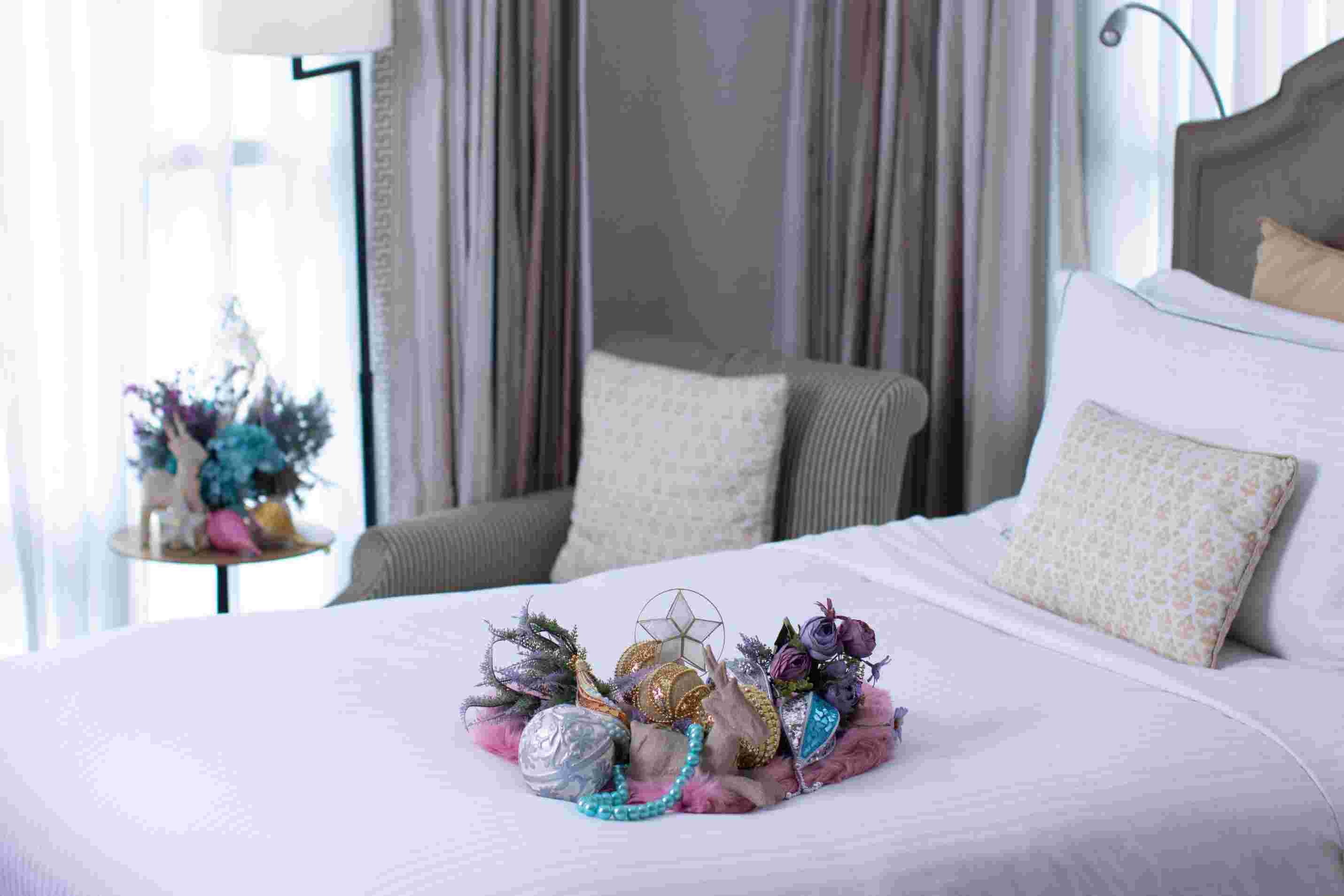 Discovery Primea Christmas-Tours Ph