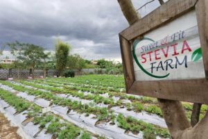 sweet and fit farm - Tours Ph