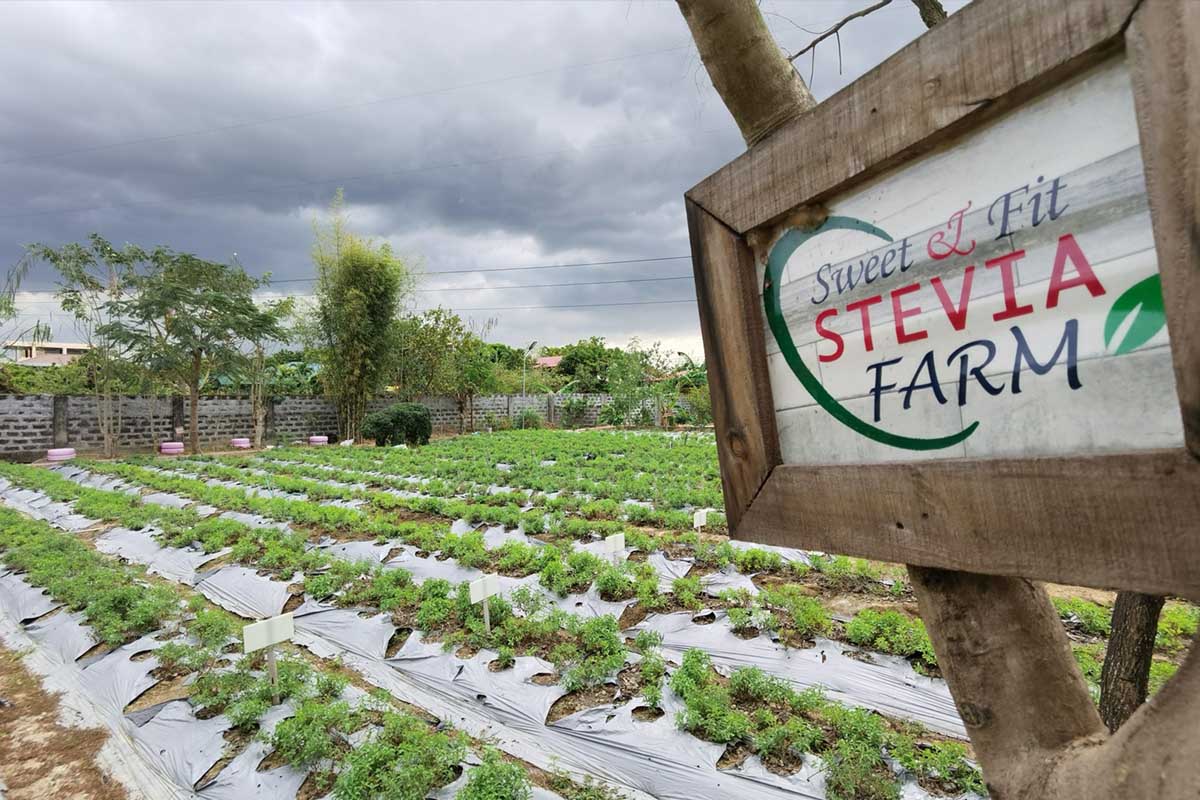 sweet and fit farm - Tours Ph